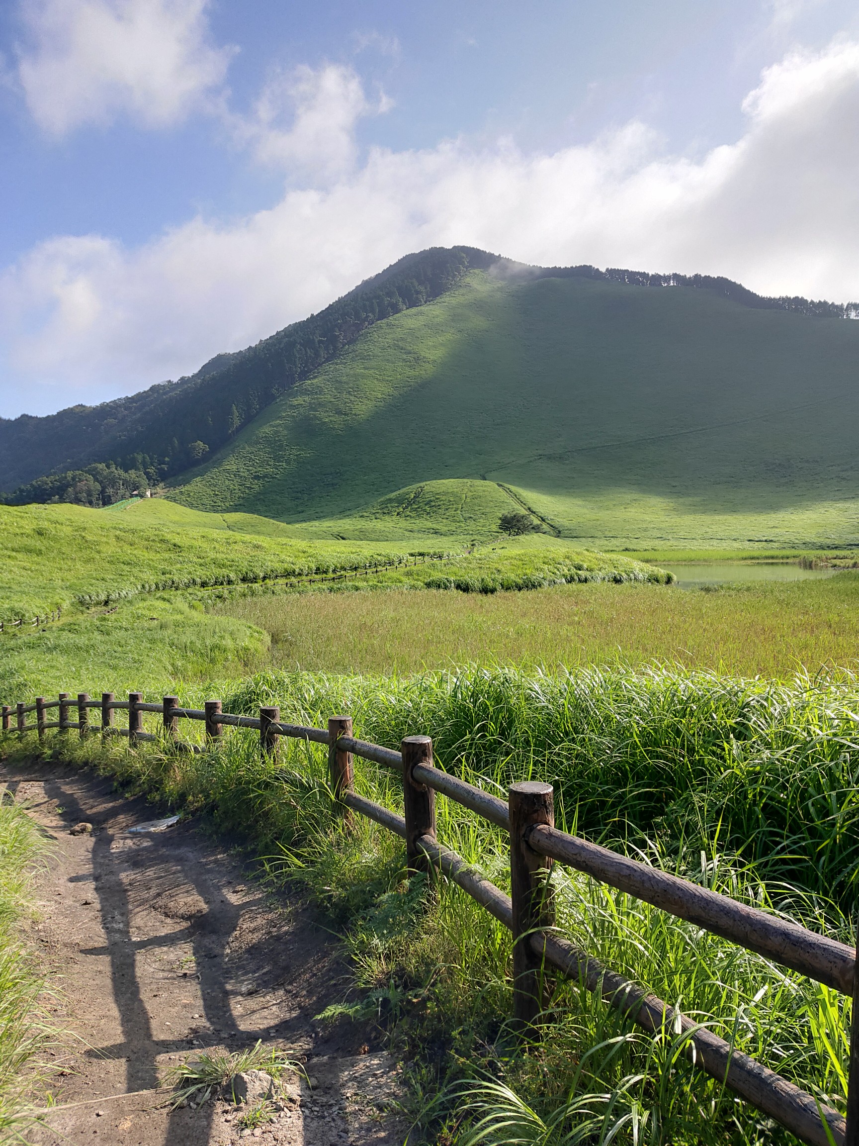 夏の陽射しに緑萌える曽爾高原 けぇぶぃでぇさんの倶留尊山 曽爾高原 古光山の活動データ Yamap ヤマップ