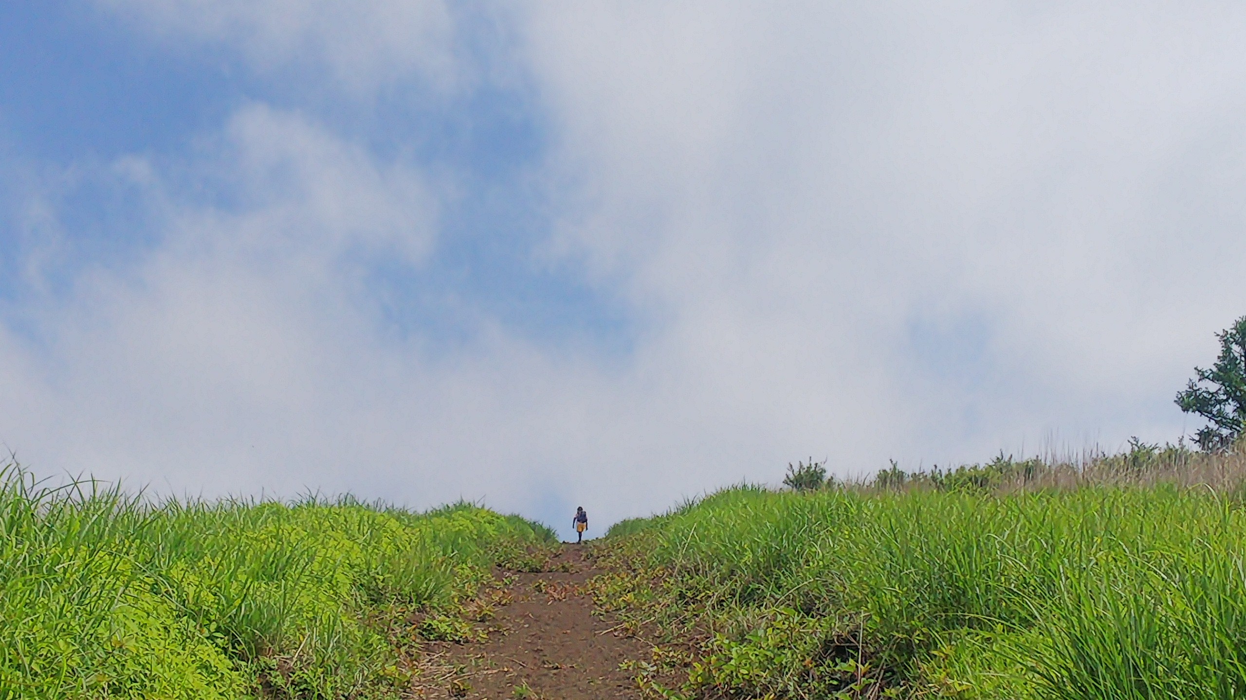 篭坂峠 山伏峠縦走 おまけの石保土山 さんたろうさんの三国山の活動データ Yamap ヤマップ