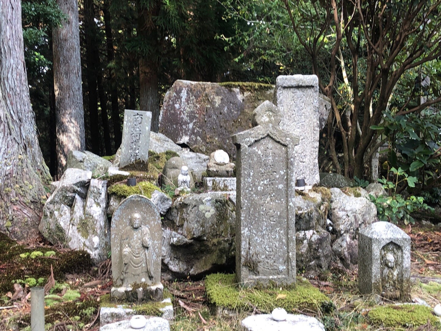 京都トレイル 大原 青龍寺 横高山 水井山 Shirohさんの比叡山 横高山 梶山の活動データ Yamap ヤマップ