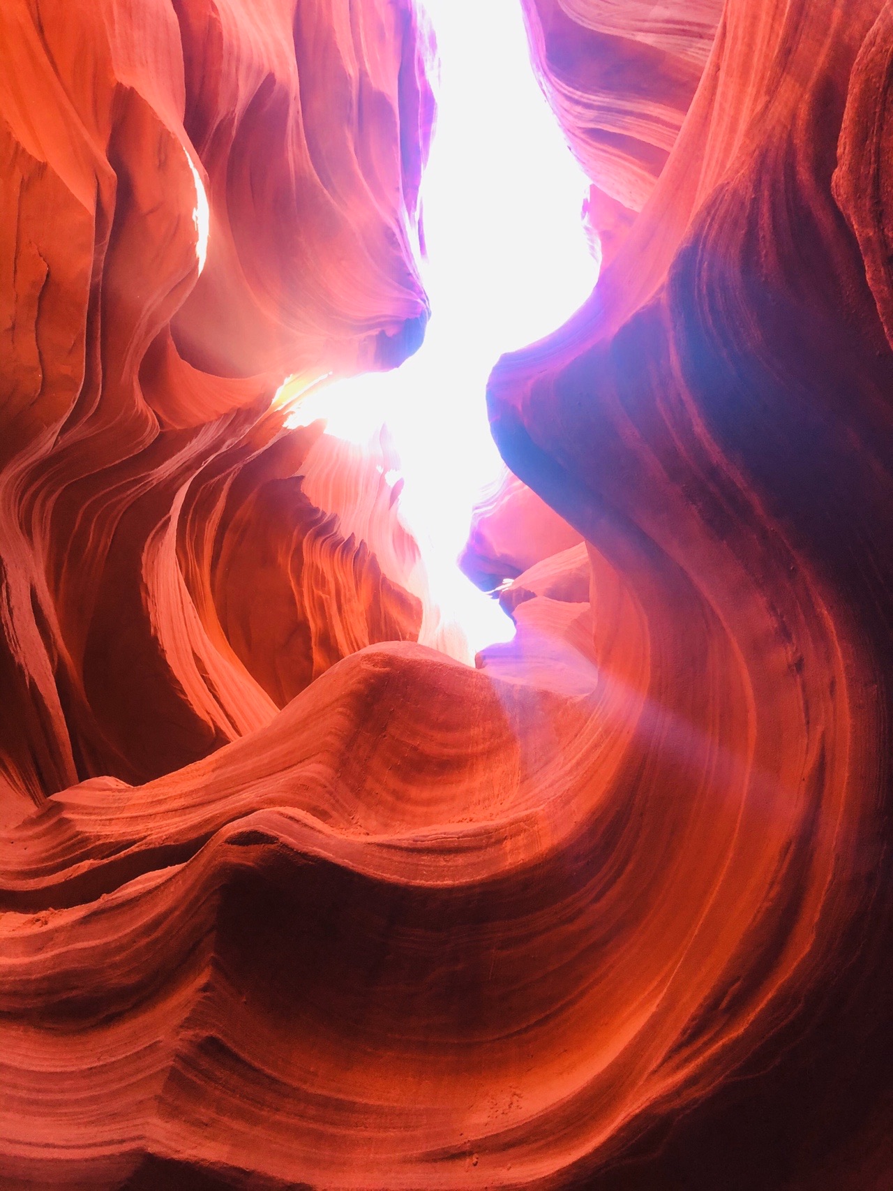 アンテロープ キャニオンandグランド キャニオン Momo助さんのグランド キャニオン ノース リムの活動データ Yamap ヤマップ