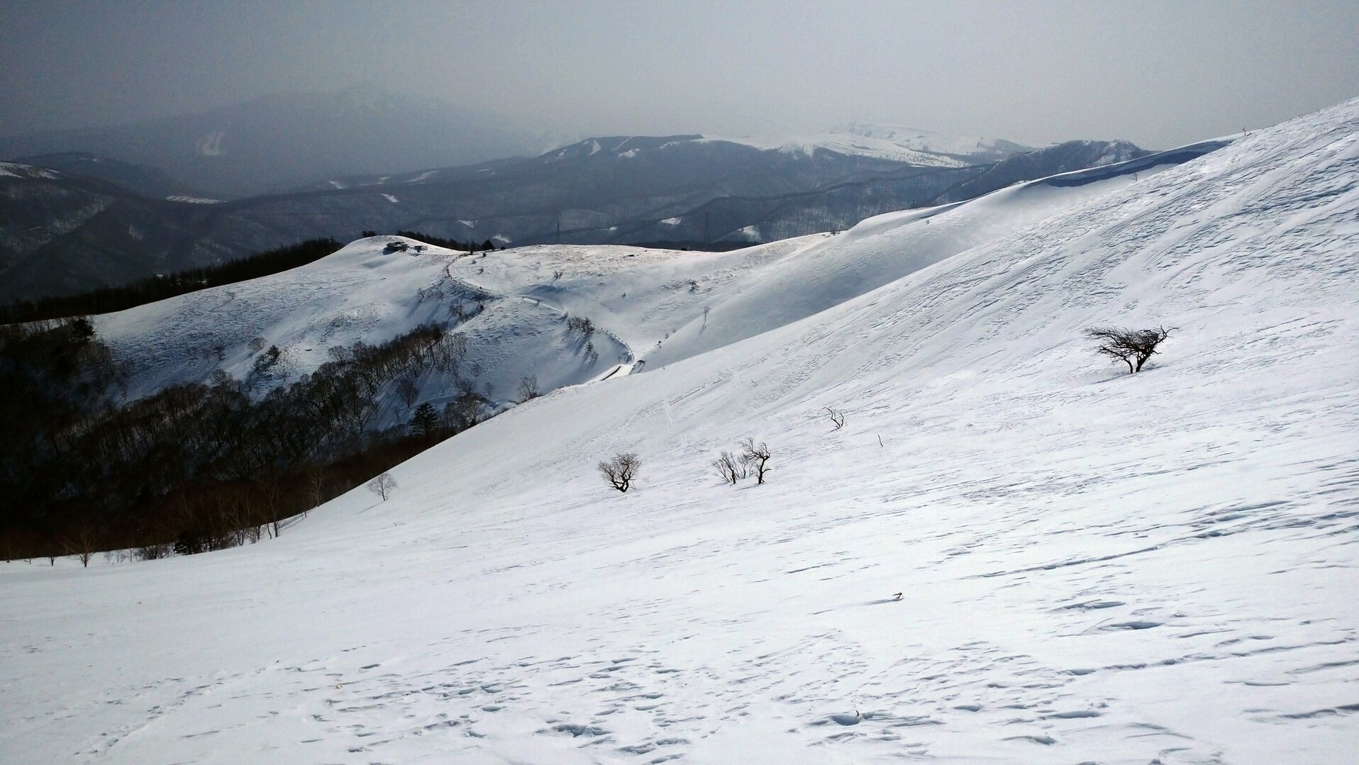 三峰山bc、和田峠茶屋ピストン、日帰り / しまさんの鉢伏山・高ボッチ山・三峰山の活動データ YAMAP / ヤマップ