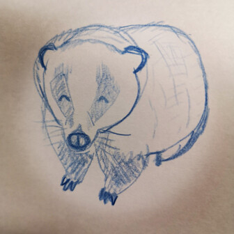 Z氏のページ Yamap ヤマップ