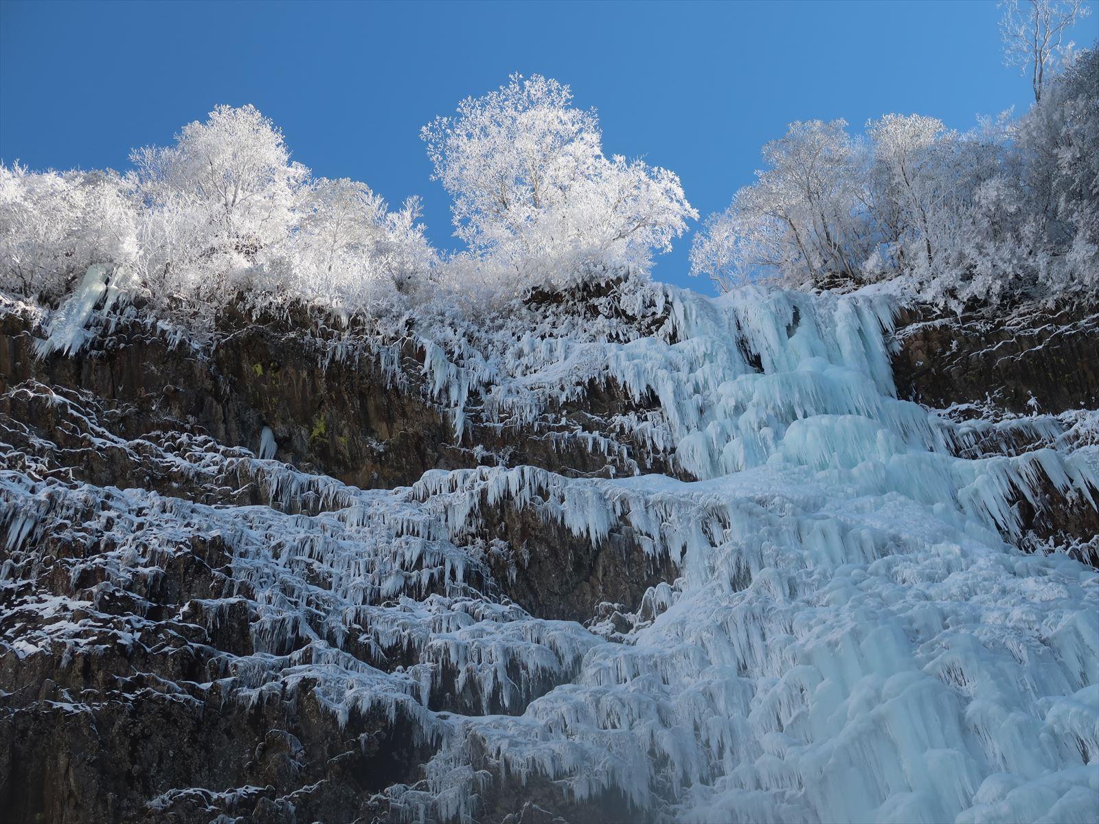 晴天の氷壁 「高瀑（たかたる）」の完全氷結 / エントツ山さんの石鎚山
