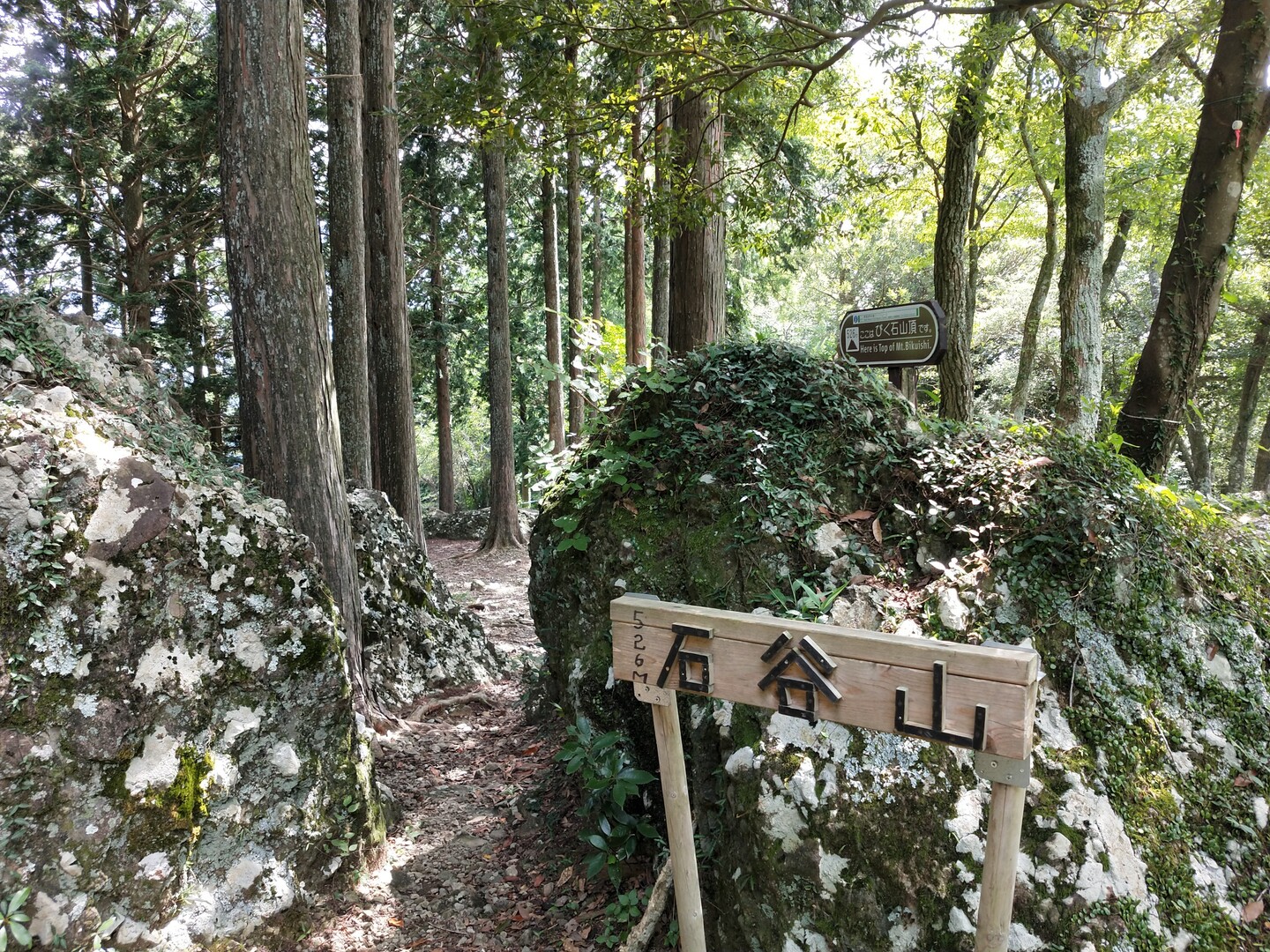 石谷山(びく石)-2022-08-19 / タロちゃんさんの城山・石谷山（びく石）の活動データ | YAMAP / ヤマップ