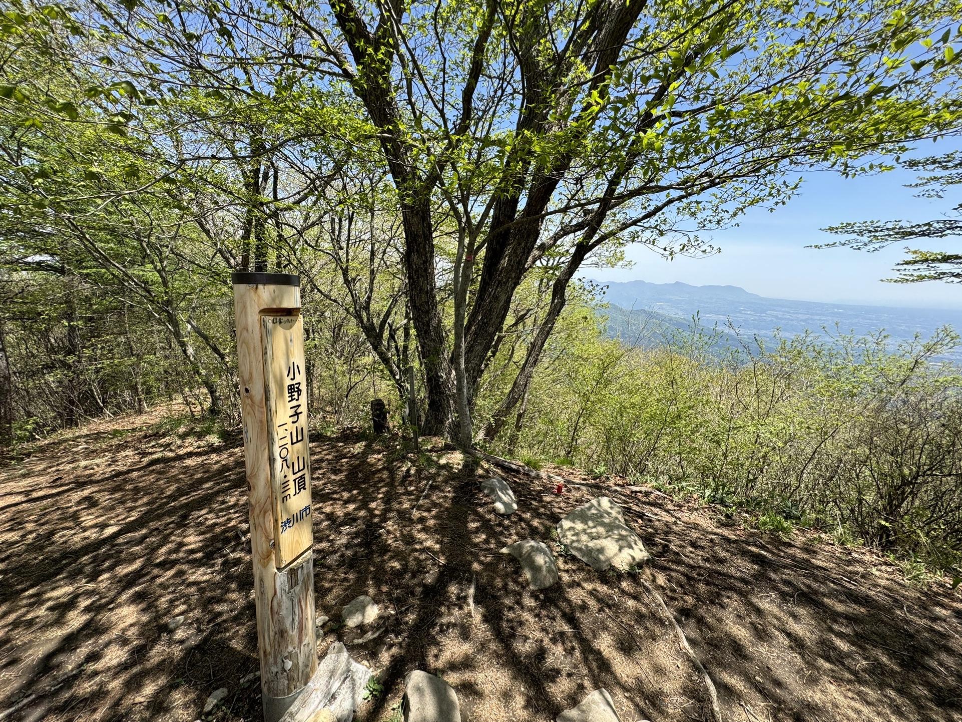 小野子山