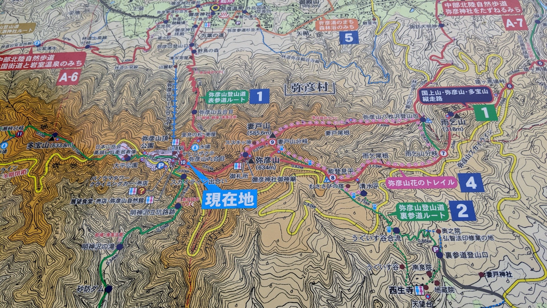 ドライブイン弥彦山 忘れられた瀬戸焼さんの弥彦山 多宝山 雨乞山の活動日記 Yamap ヤマップ