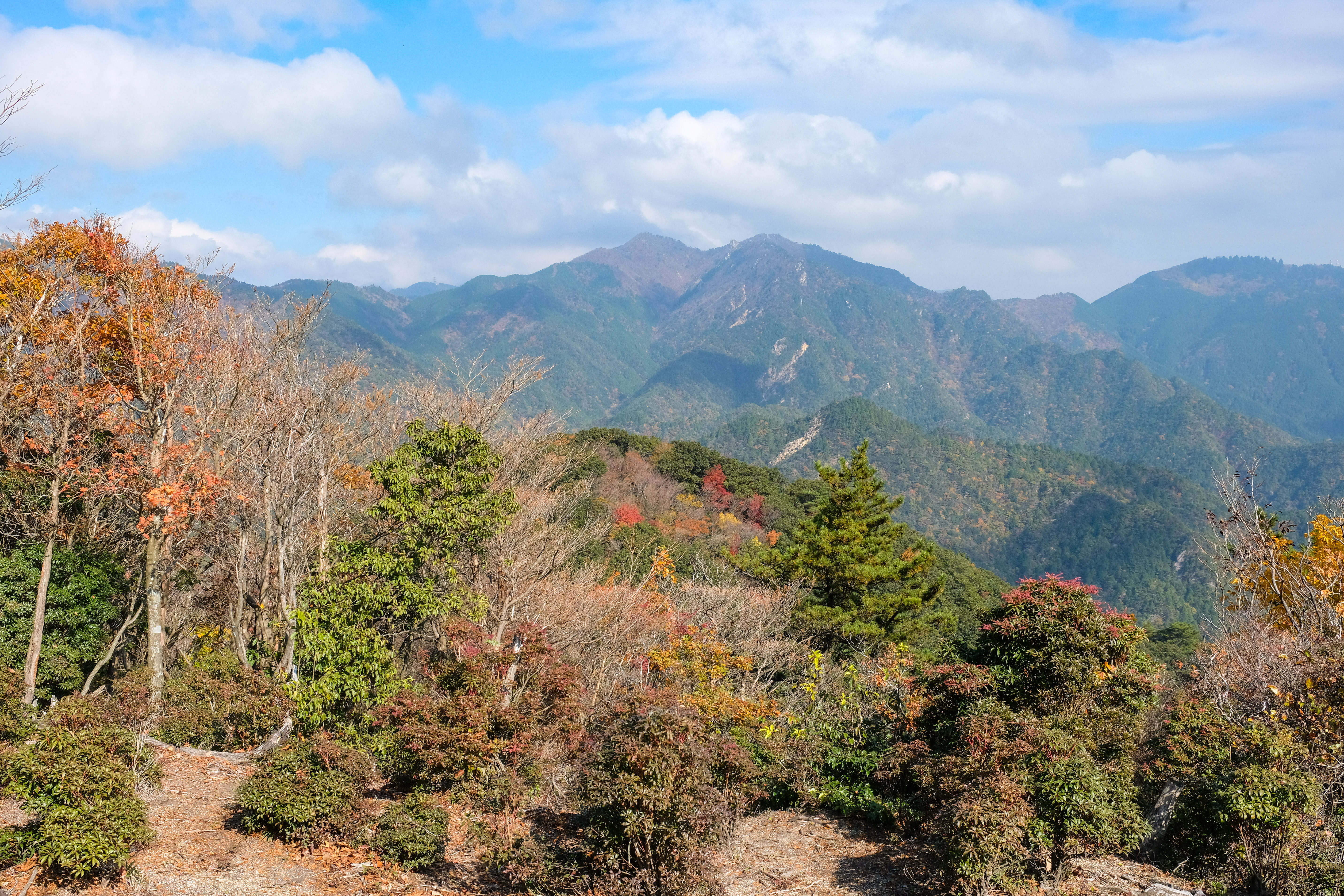 南鈴鹿縦走 1 鈴鹿峠 三子山 四方草山 弁慶 長坂ノ頭 鬼ヶ牙 石水渓 Petit Princeさんの入道ヶ岳 鎌ヶ岳 仙ヶ岳の活動データ Yamap ヤマップ