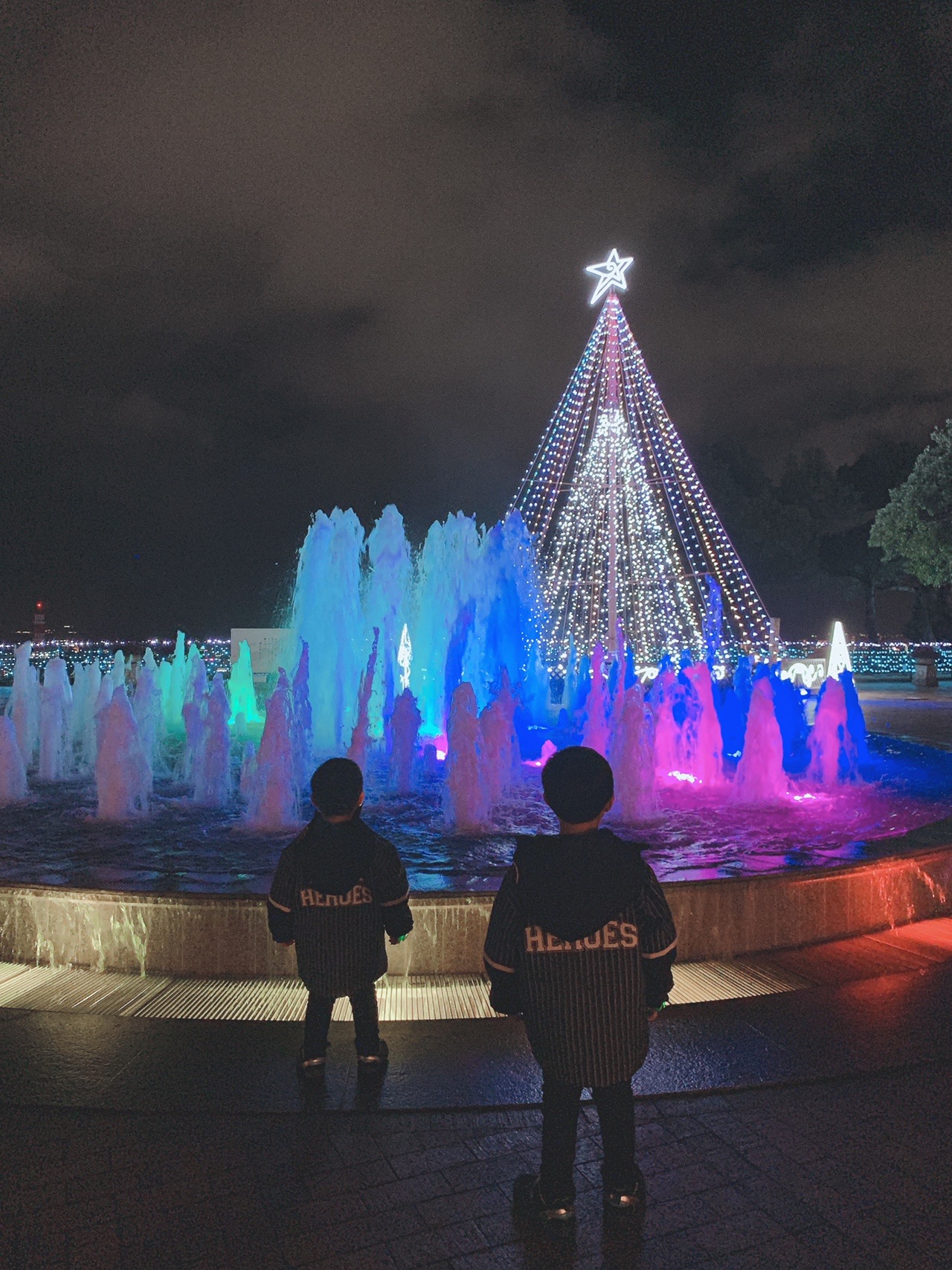 鹿児島市 城山ホテルイルミネーション 親子登山初心者さんの鹿児島市の活動データ Yamap ヤマップ