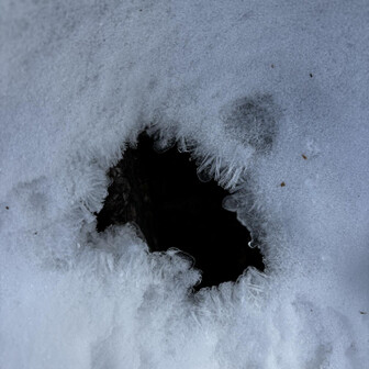 山伏・八紘嶺・笹山 ん？なんだろ…穴🕳️
温泉♨️湧き出てる？とか思って手を突っ込む。特に何も無い😕