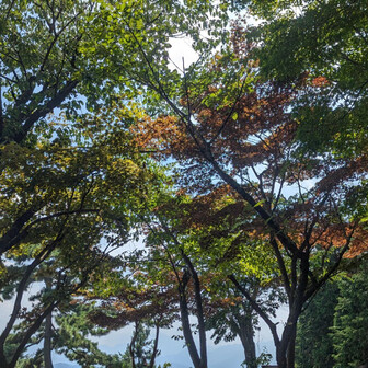 かき氷は沢山注文が出ているのでちょっと持つ。下山しないで何時間でも過ごしたくなる雰囲気