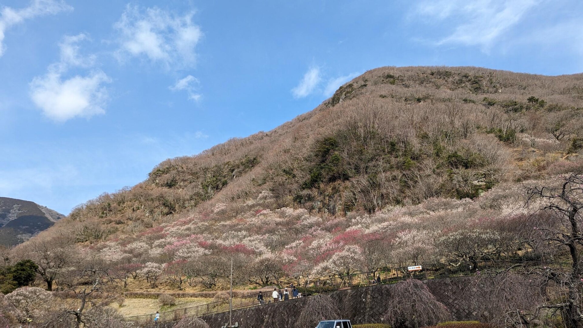 南郷山～幕山 / 吉武さんの幕山・南郷山の活動データ YAMAP / ヤマップ