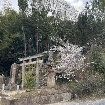 石畳神社の桜
ここから城山経由で戻るルートもありますが、ふもとの桜を見るために、秦の集落を歩きます
