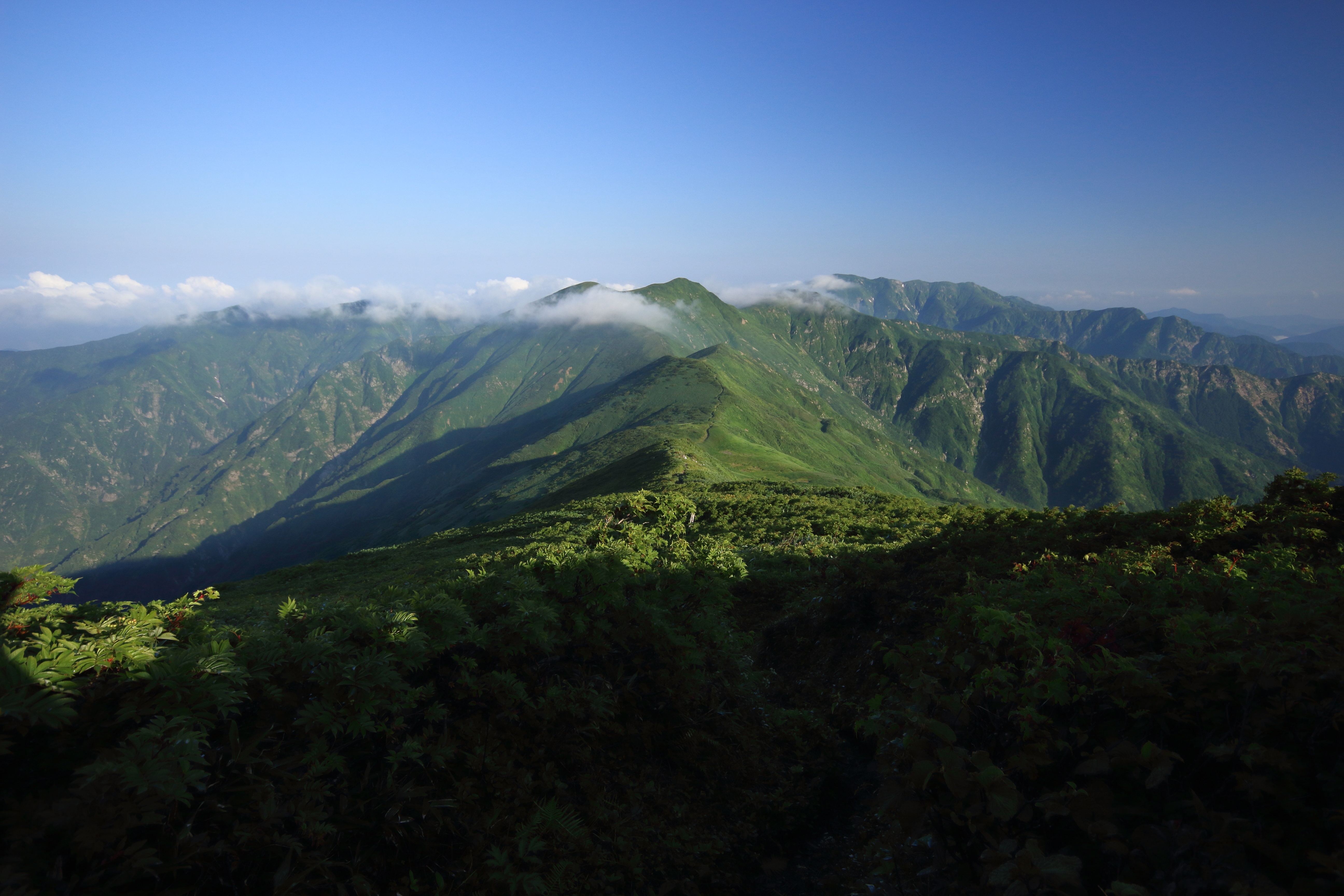朝日連峰周回 日暮沢小屋から 19 08 18 みちのく さんの大朝日岳 朝日連峰 祝瓶山の活動データ Yamap ヤマップ