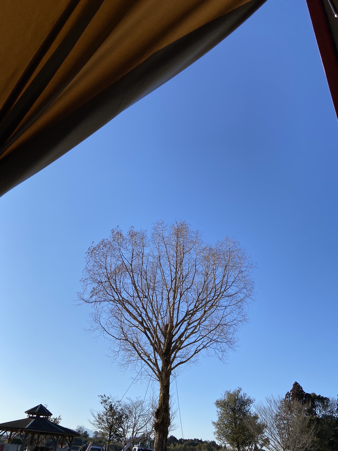 今回はソロキャンプです 宮崎 都城の Nuさんのモーメント Yamap ヤマップ