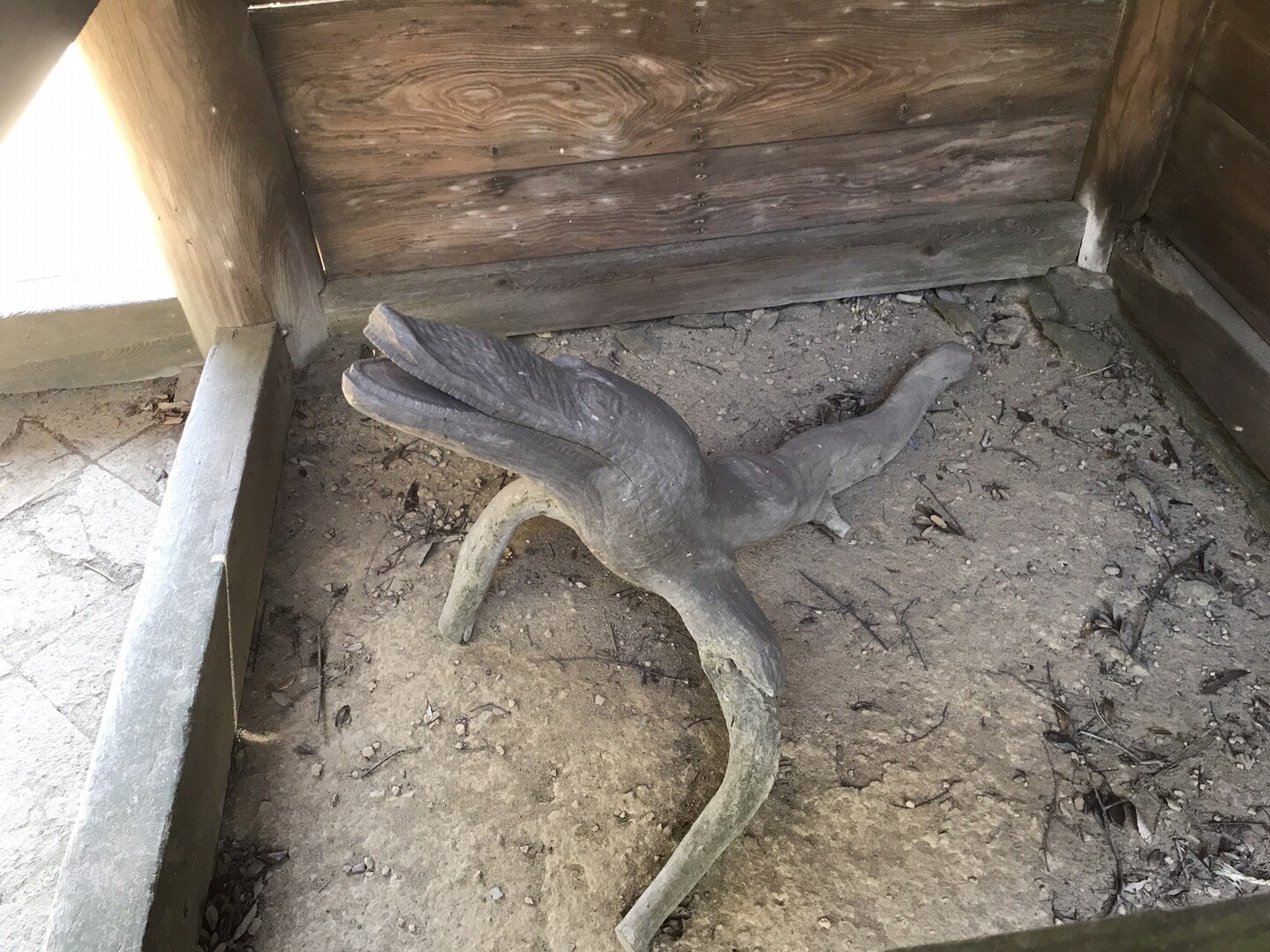 飯盛山の未確認生物 紀泉アルプス 飯盛山 ボンデン山の写真17枚目 またまた謎生物 Yamap ヤマップ