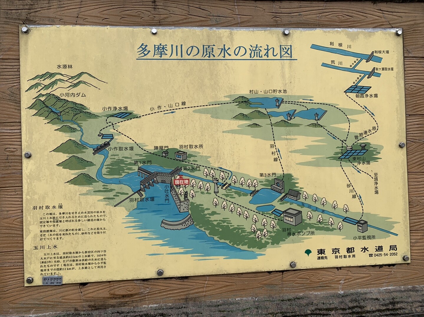 10 19玉川上水をあるく1 4 Yamashimizuさんの羽村市の活動日記 Yamap ヤマップ