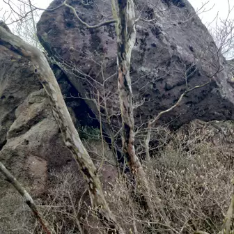 岩が真っ二つに割れていた