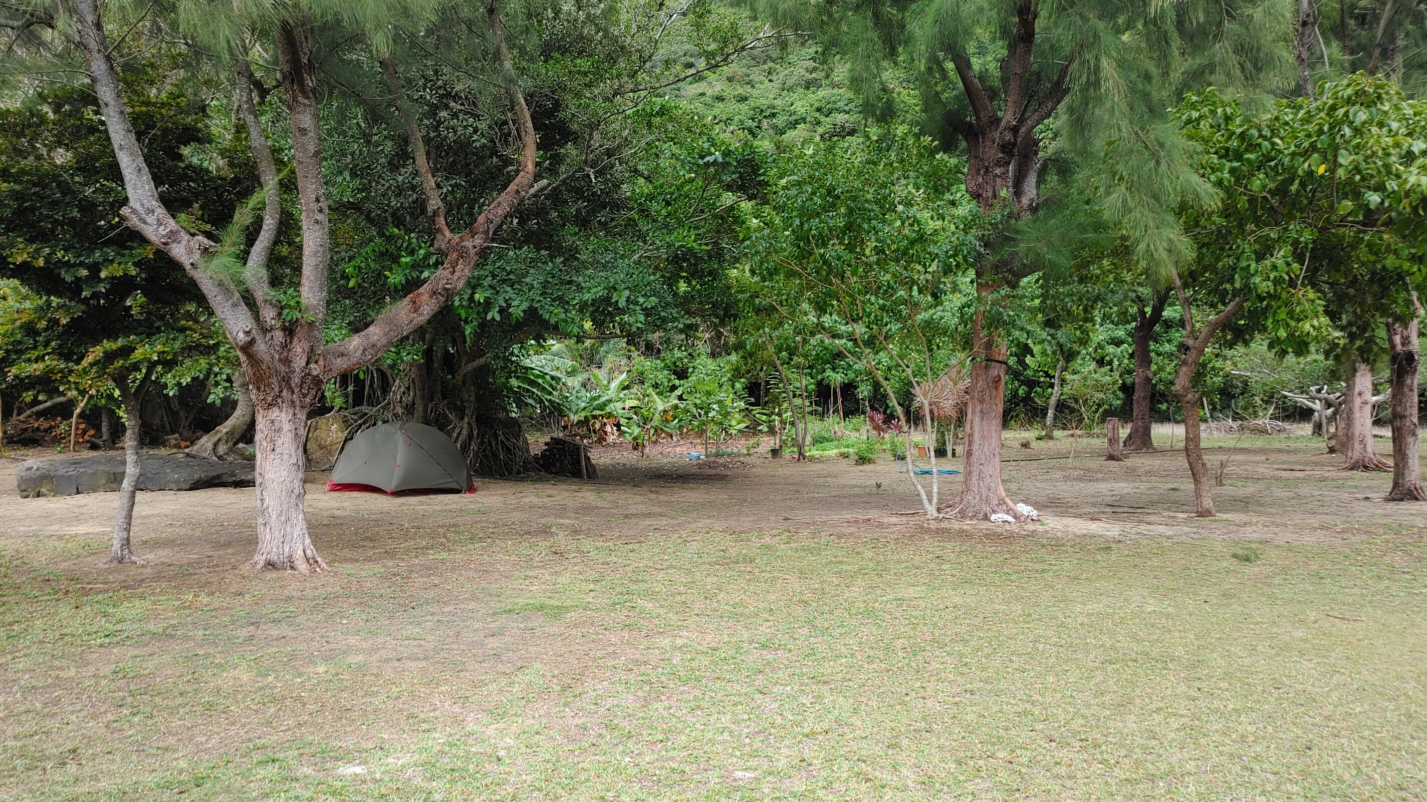 西表島 南風見田 Marqunさんの西表島の活動データ Yamap ヤマップ