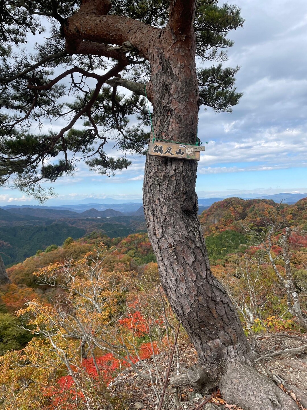 黒沢山・鍋足山（三角点峰）・鍋足山 / かずもとあおいさんの鍋足山の活動データ YAMAP / ヤマップ