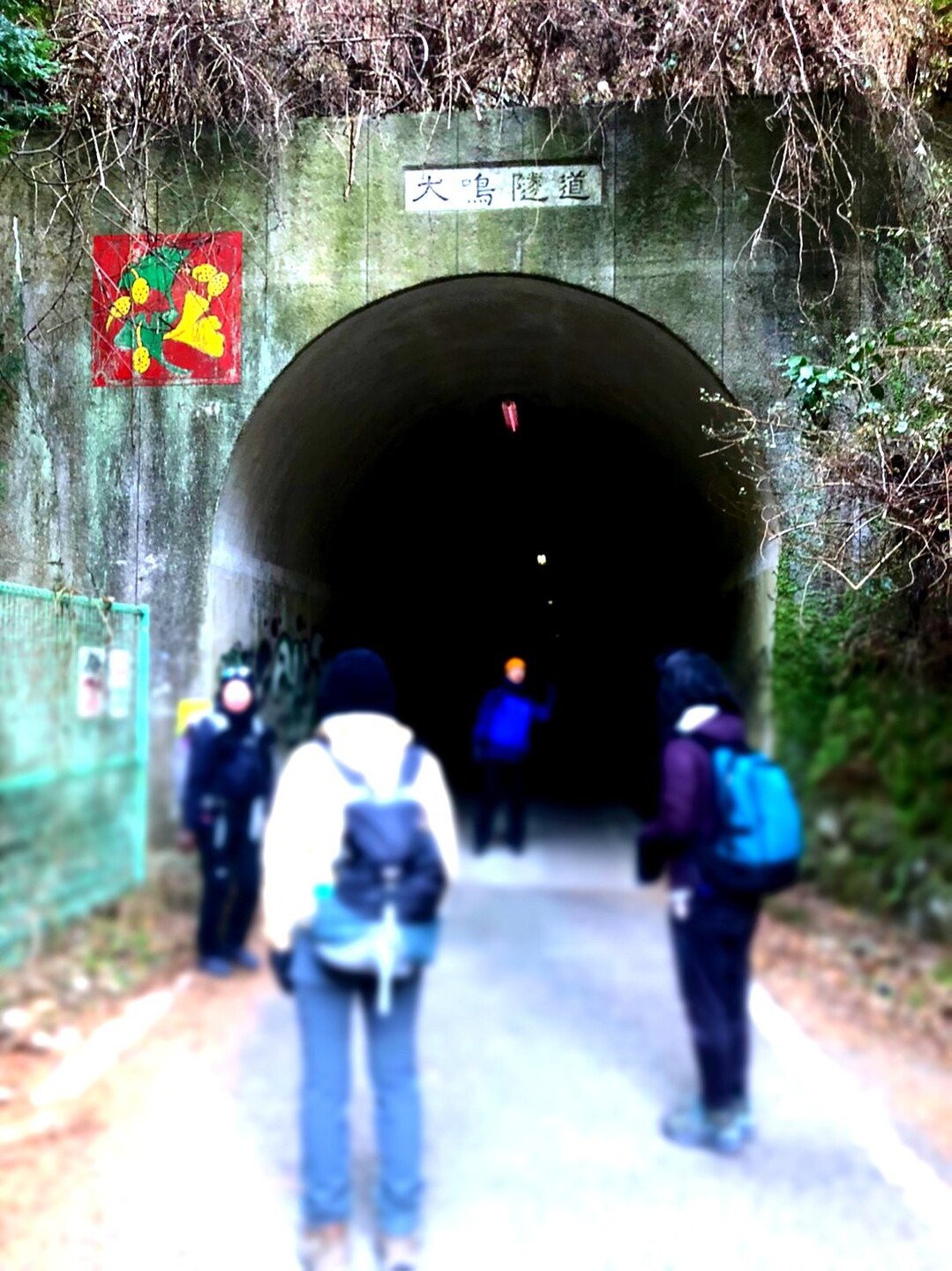 極寒 和泉葛城山 牛 滝山から 犬 鳴山へ 槇尾山 槙尾山 和泉葛城山 神於山の写真41枚目 心霊スポット 犬鳴トンネルへとやって参り Yamap ヤマップ