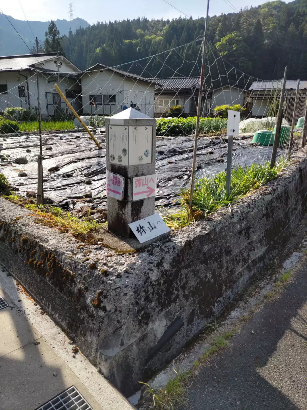 天川村役場駐車場から八経ヶ岳 弥山へ周回 友吉さんの八経ヶ岳の活動データ Yamap ヤマップ