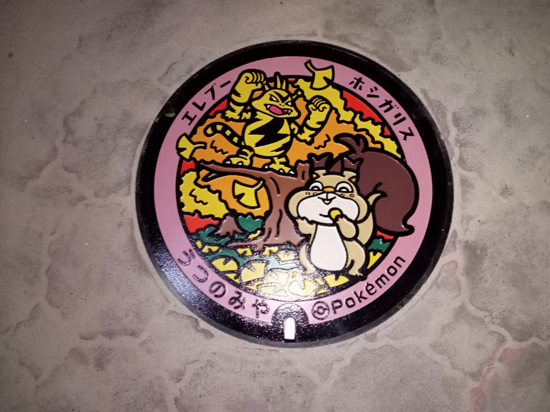 ポケモンのフタ ゲットだぜ スギサンさんの宇都宮市の活動データ Yamap ヤマップ