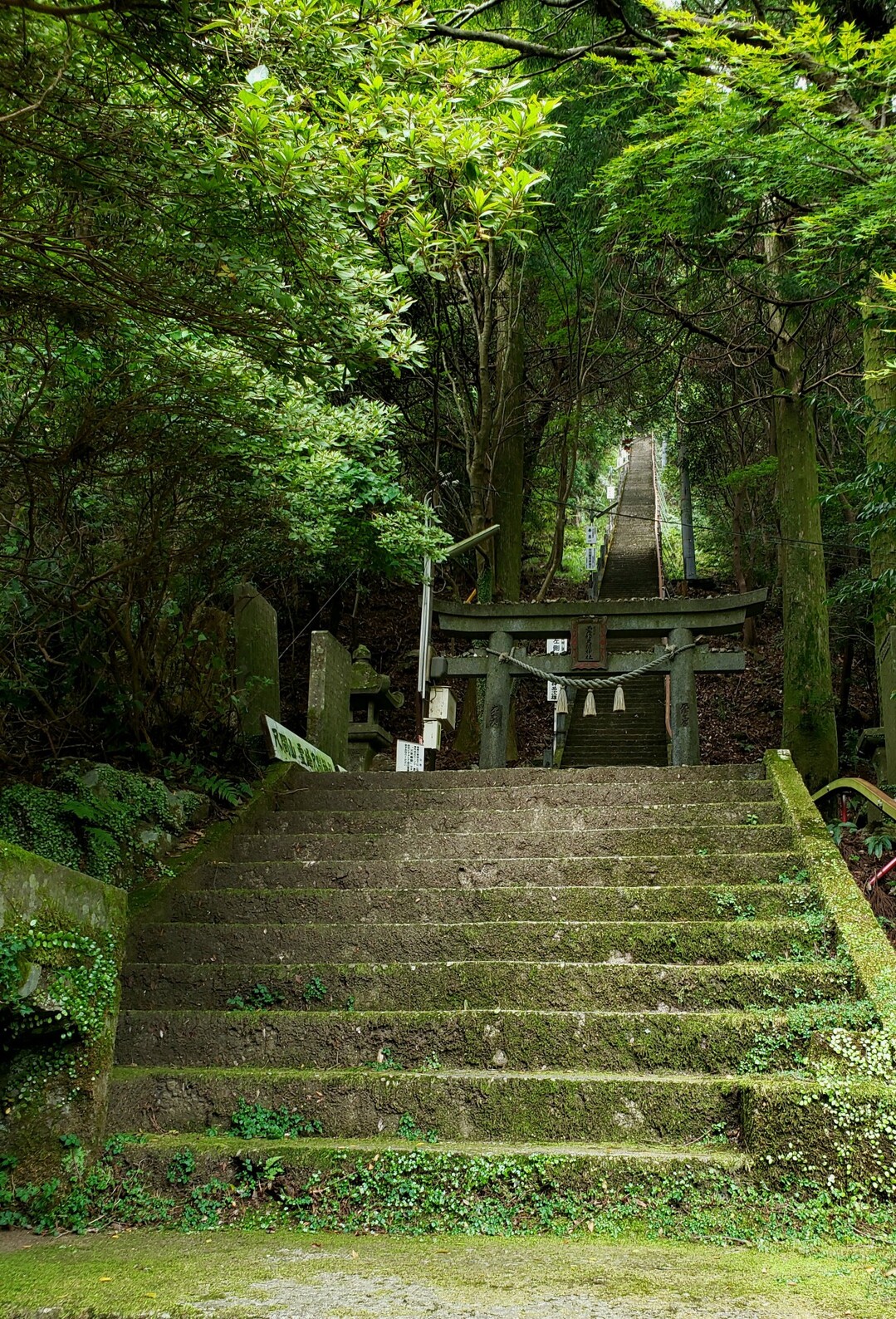 霊峰 尺間山 / がーしーさんの彦岳の活動データ YAMAP / ヤマップ