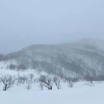 蘇武岳 風が無いので何の音もしない。
ガスに覆われた白の世界も良きやねー❄️