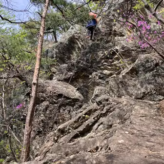 犬帰りと呼ばれる仙人ケ岳一番の難所、大きな岩の鎖場を降りる。登山を始めた一年目はとても怖かった印象があるが、今では何とも無くなってしまった。慣れって素晴らしい😄