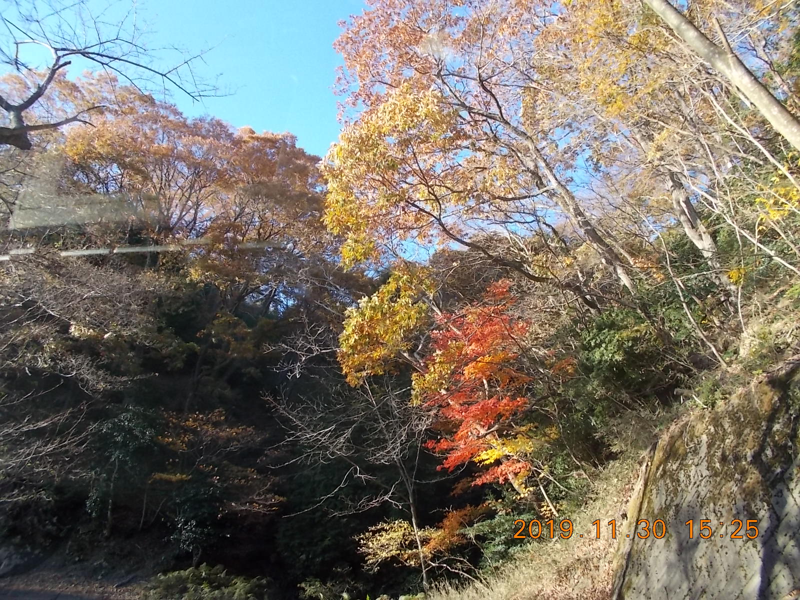 紅葉のラストをしめくくる明神の森 工事で車は通行止めなので 静かな山歩き おまけに夜景 たかさんの菩提山の活動日記 Yamap ヤマップ