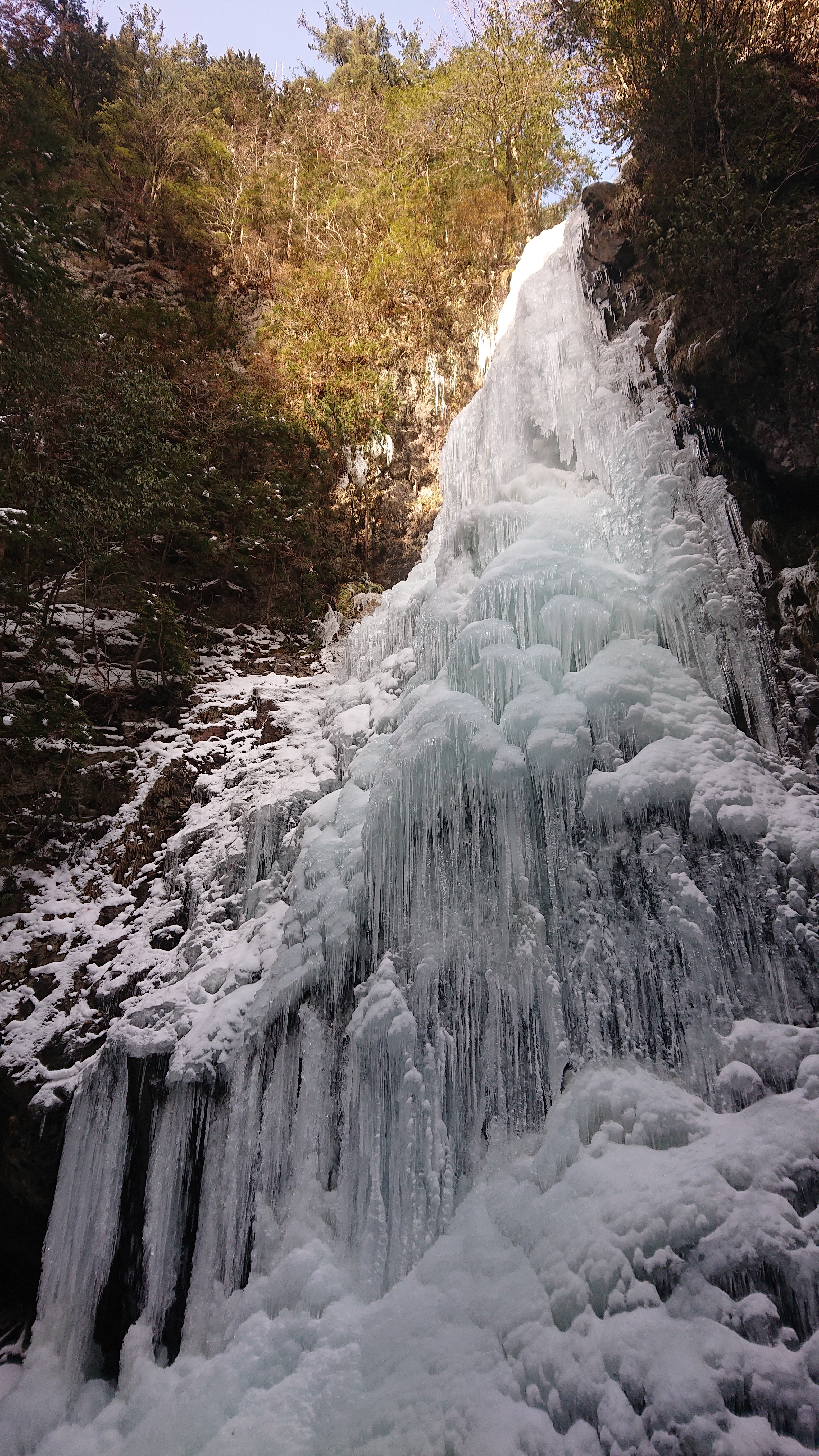 御船の滝 21 01 11 めだいさんの白屋岳の活動データ Yamap ヤマップ