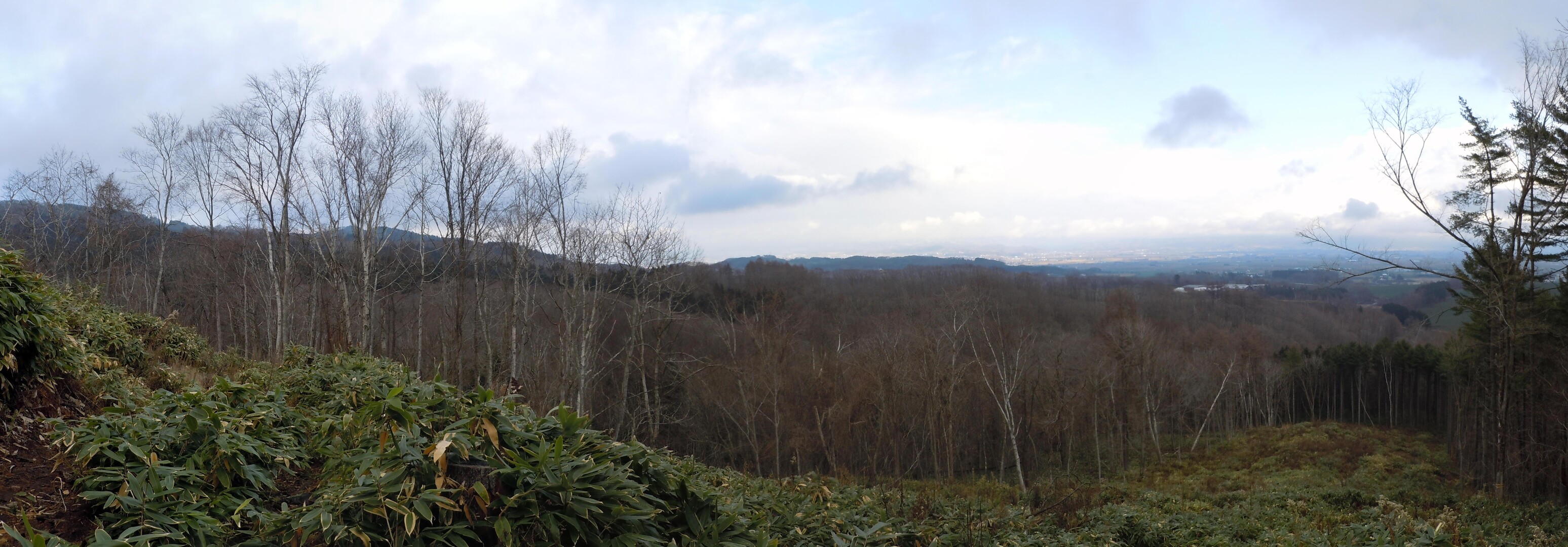 2022_11 馬追丘陵(北三号口)～由仁林道(国道274号線側) トレラン / TOMさんの馬追丘陵・長官山・瀞台（馬追山）の活動データ