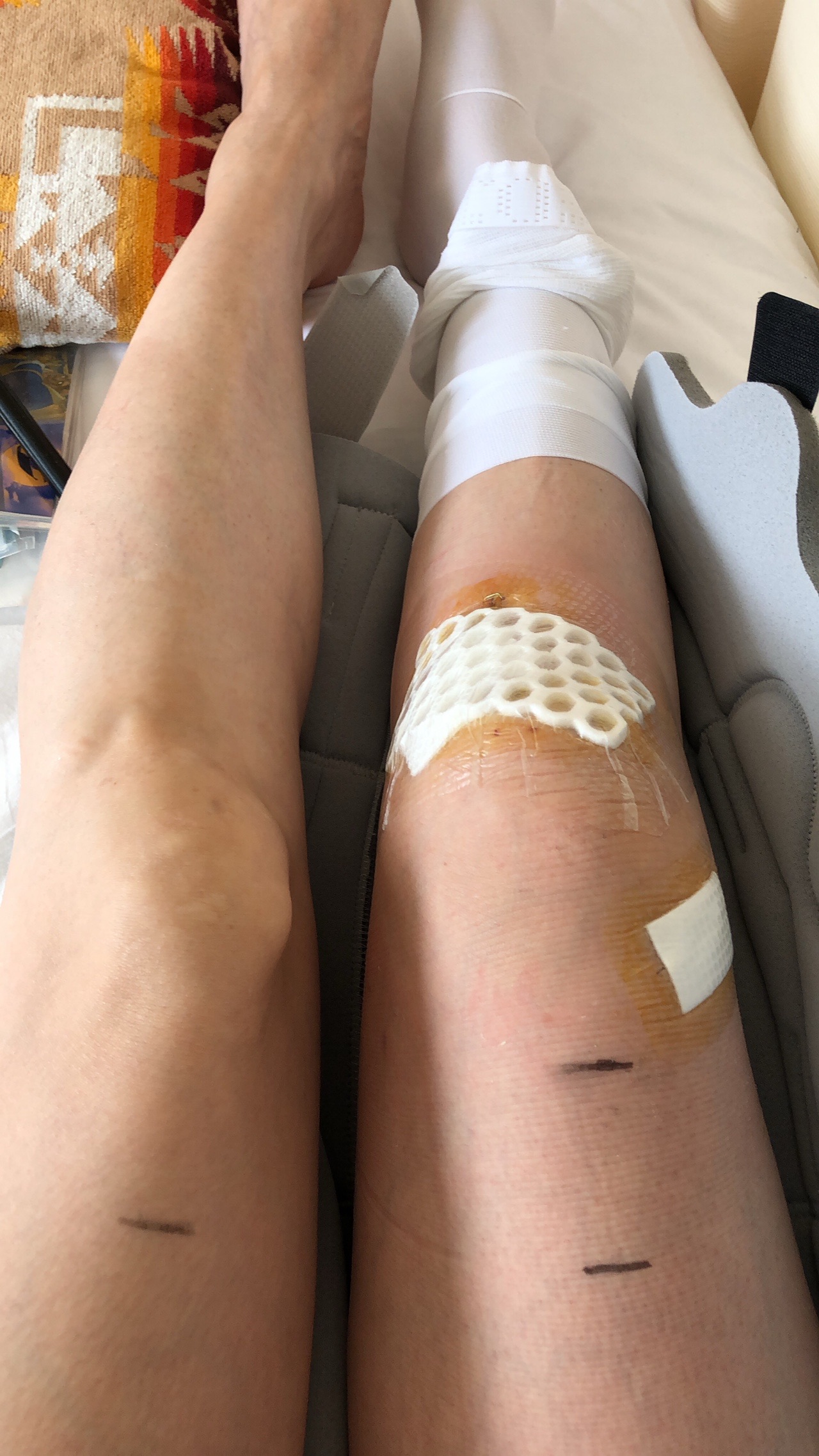 近況です 早く山にいきたーい Yukachi さんの笠置山 京都府 の活動日記 Yamap ヤマップ