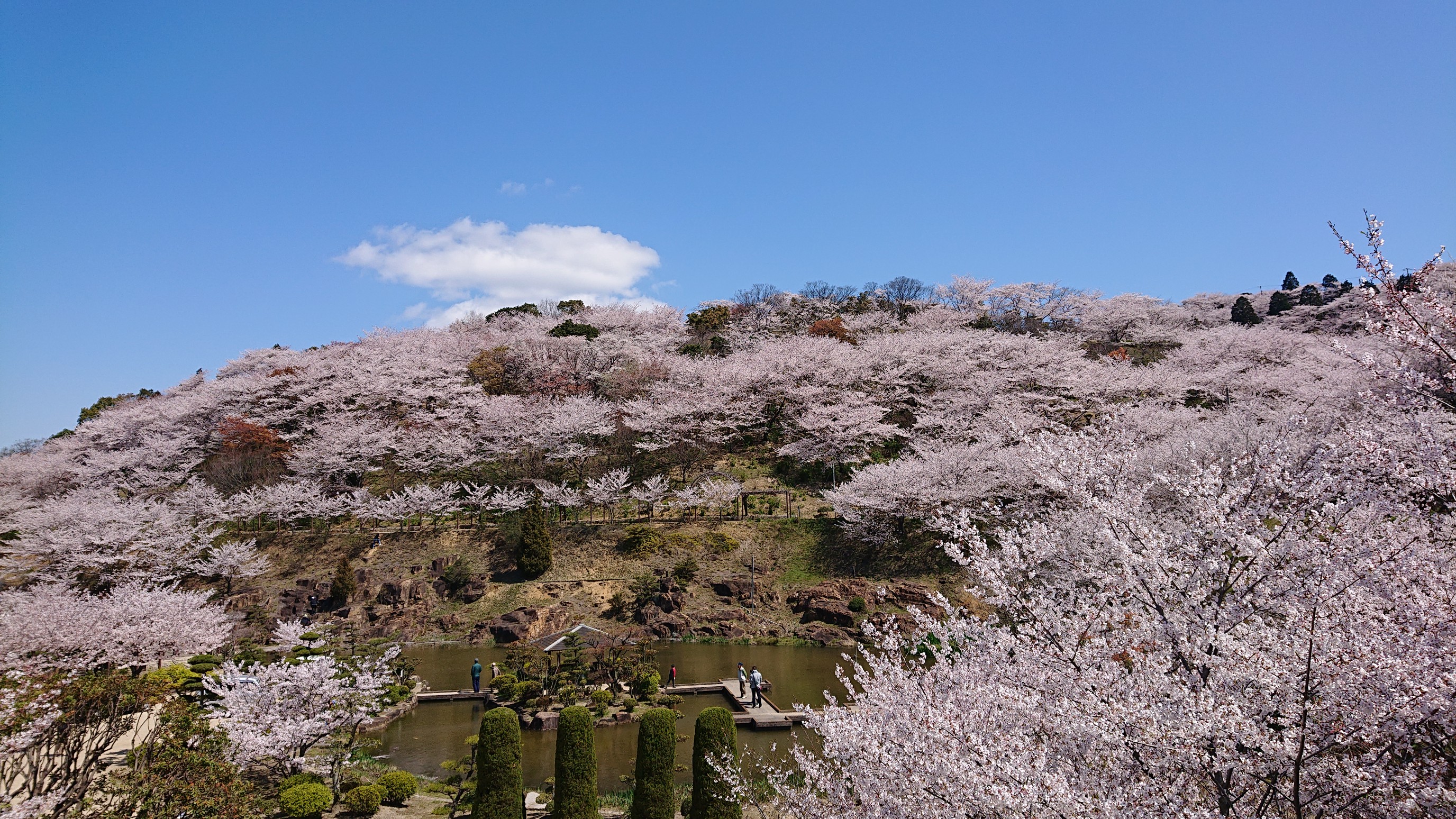 倉敷 種松山 お花見 04 05 Flyさんの倉敷市 倉敷エリア の活動データ Yamap ヤマップ