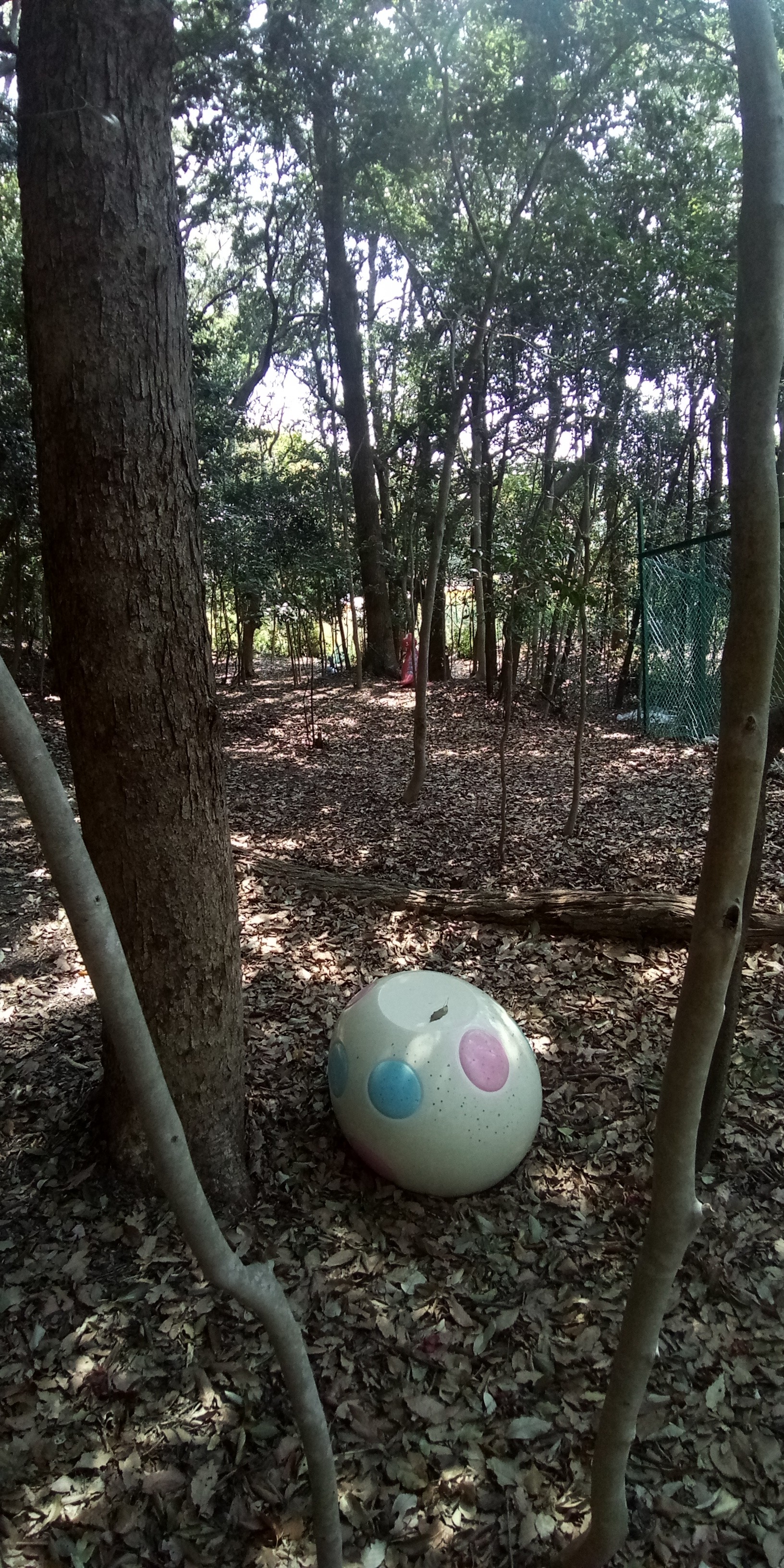 高取山 神戸 の尾根道いろいろ 大灯籠尾根 禅昌寺西尾根 禅昌寺東尾根 口ノ川東尾根 口ノ川西尾根 萩の寺尾根 どん亀のたるさんの六甲山 長峰山 摩耶山の活動データ Yamap ヤマップ