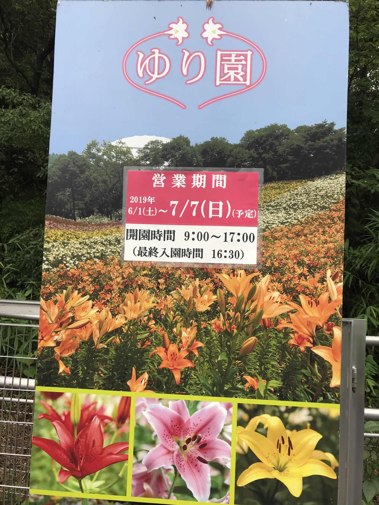 狭山不動尊 山口観音 所沢ゆり園 のりぞうさんの国分寺市の活動日記 Yamap ヤマップ