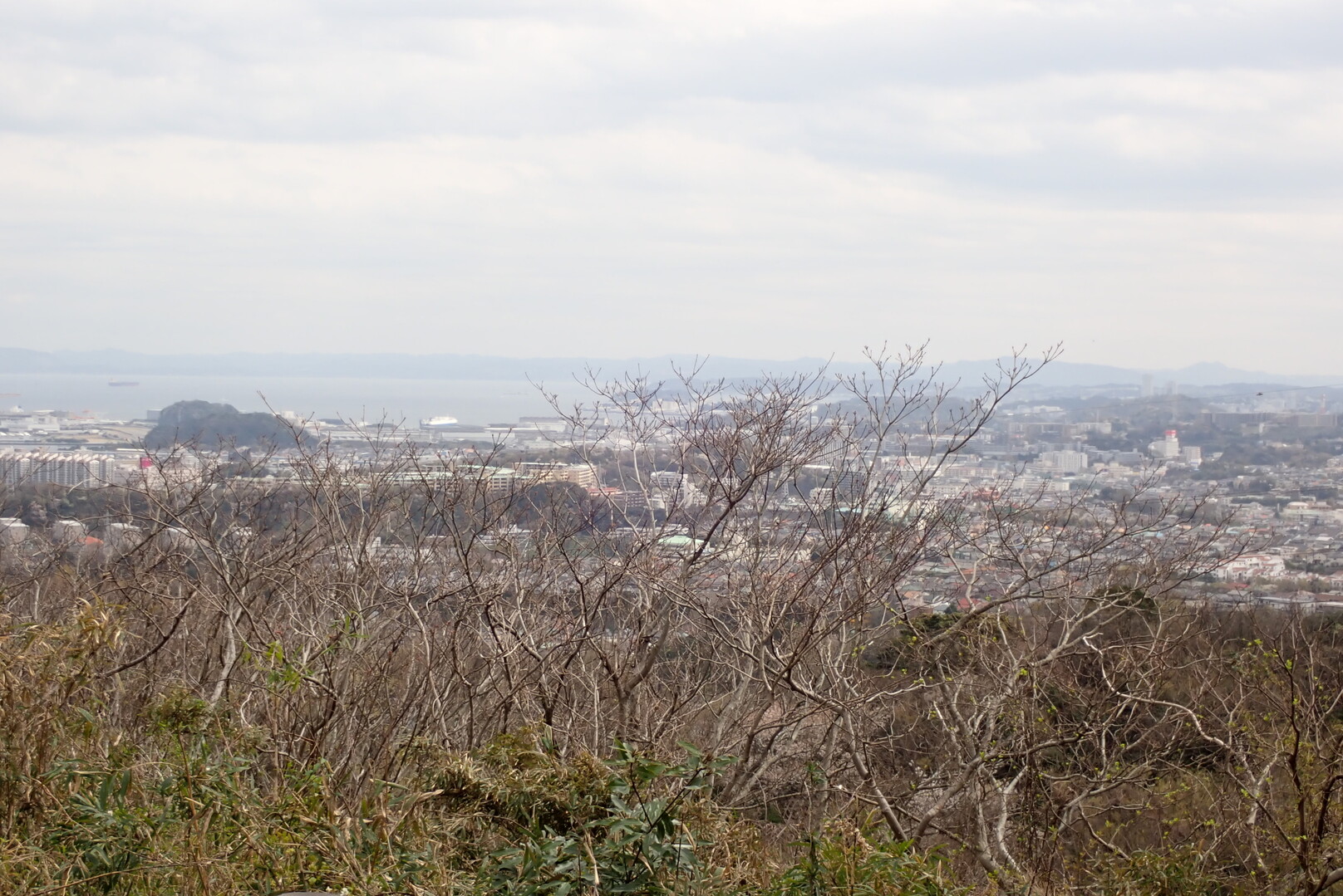 大丸山20210322 / 横浜市 南エリアの写真16枚目 / 山頂からの眺め YAMAP / ヤマップ