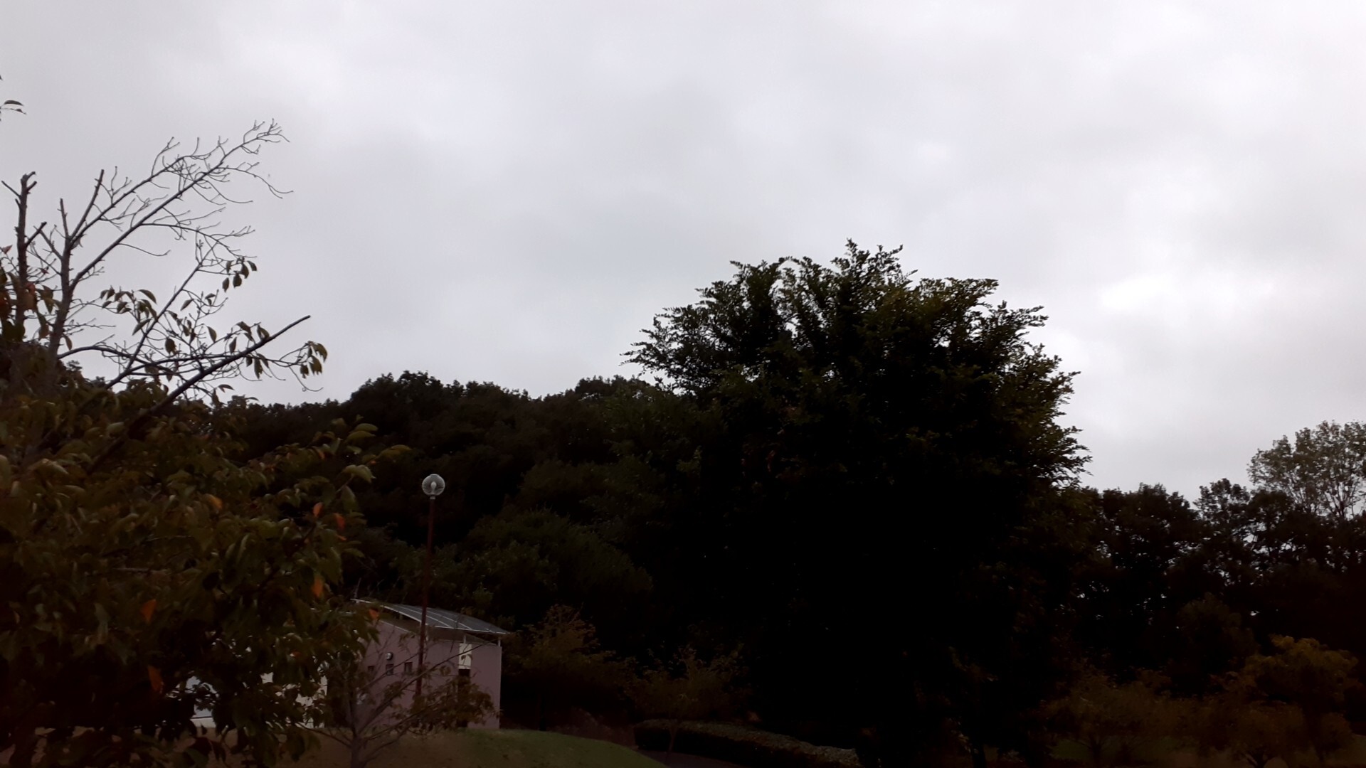 今朝はどんよりとした曇り空☁️ 雨降り前... / ゆ～ごんさんのモーメント YAMAP / ヤマップ