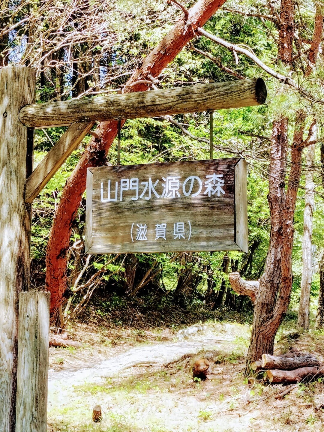 東ヶ谷山・山門水源の森-2024-04-28 / TERUTERUさんの東ヶ谷山・山門水源の森の活動データ | YAMAP / ヤマップ