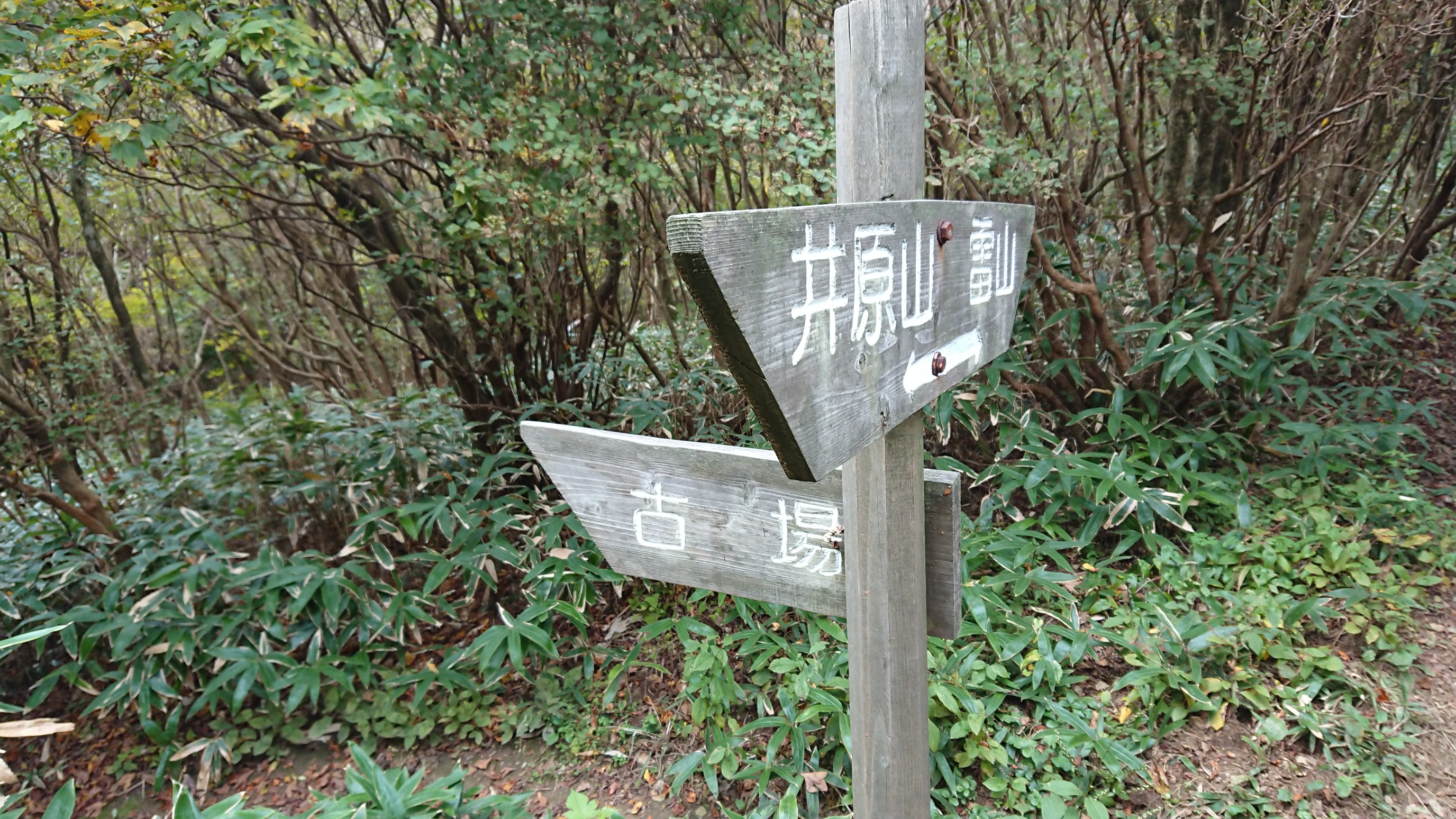 井原山 雷山周回 よっちさんの雷山 井原山の活動日記 Yamap ヤマップ