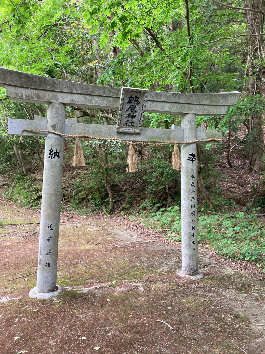 鳥取市20220507鵯尾城 / ゆきぴさんの鳥取市の活動データ YAMAP / ヤマップ