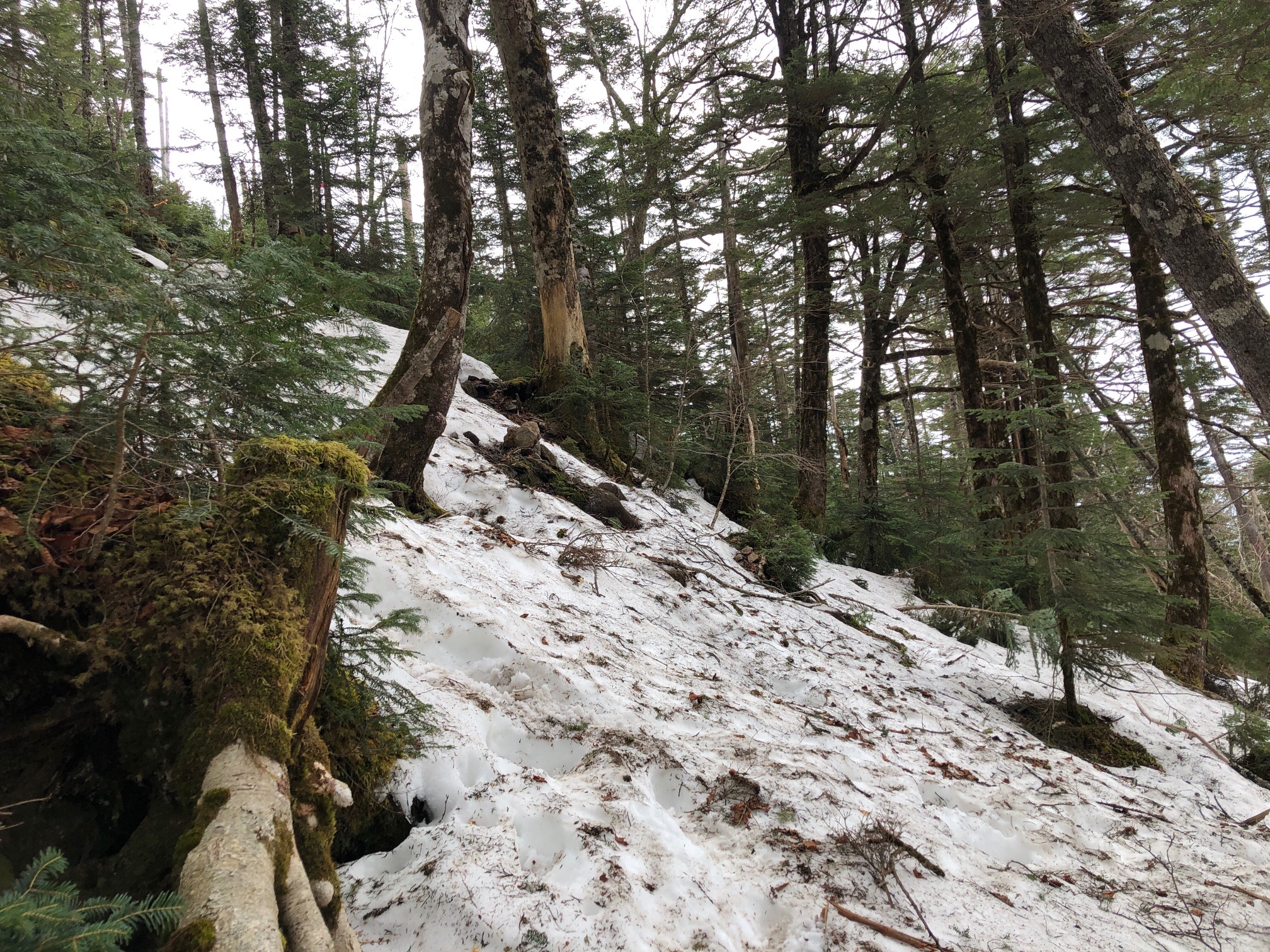 丸山からの下り、キツイでしょ！