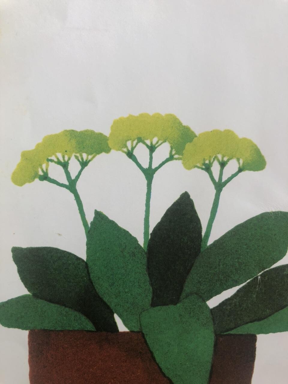 はなぴーのページ YAMAP / ヤマップ