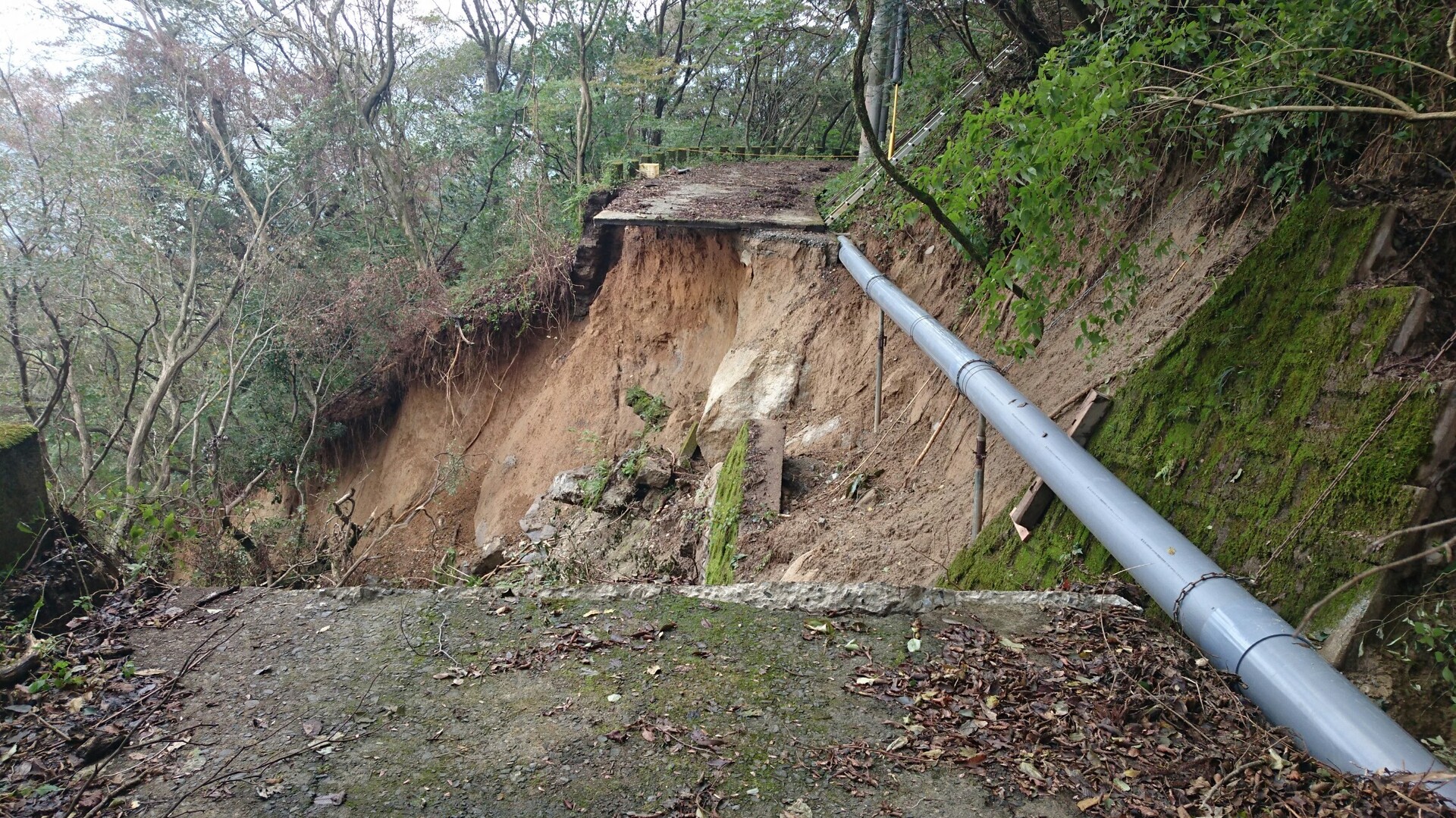 雷山国際キャンプ場より ともやさんの雷山 井原山の活動データ Yamap ヤマップ