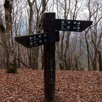 白くらの頭に到着。