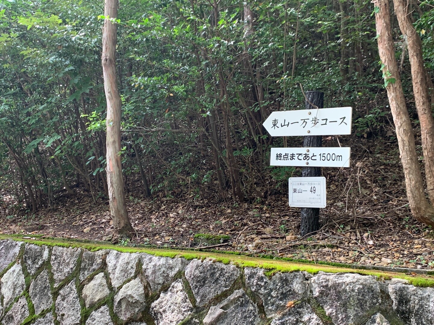 東山公園一万歩コース ざわわさんの名古屋市の活動データ Yamap ヤマップ