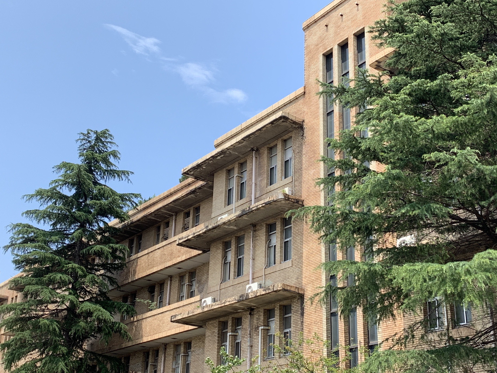 千葉市 19 07 29 けいさんの千葉市の活動日記 Yamap ヤマップ