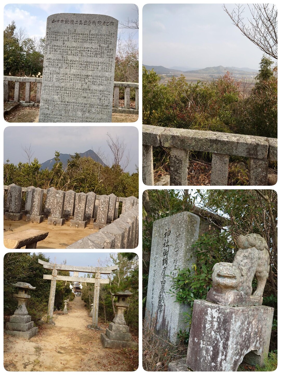 スッキリ😄🎵秋穂の謎のお山に登ったよ😆朝日山•南権現山•宮山(八幡山)の写真