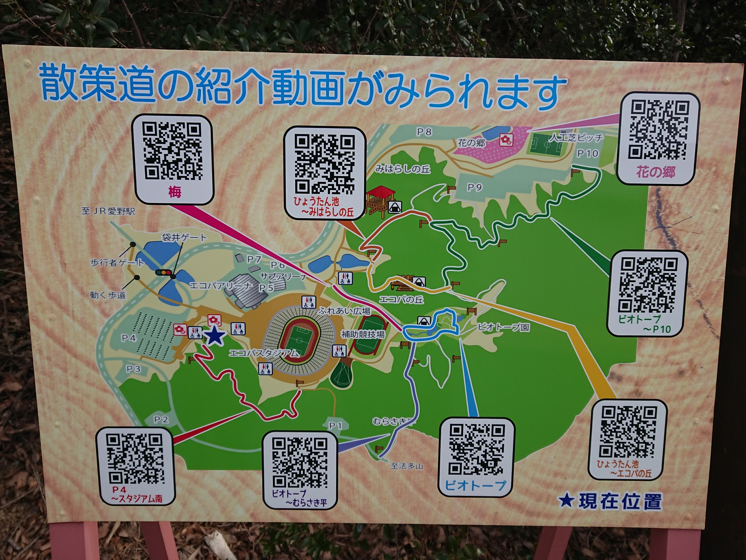 エコパから法多山へのウォーキングと節分祭 Ktomcatさんの遠州三山の活動日記 Yamap ヤマップ