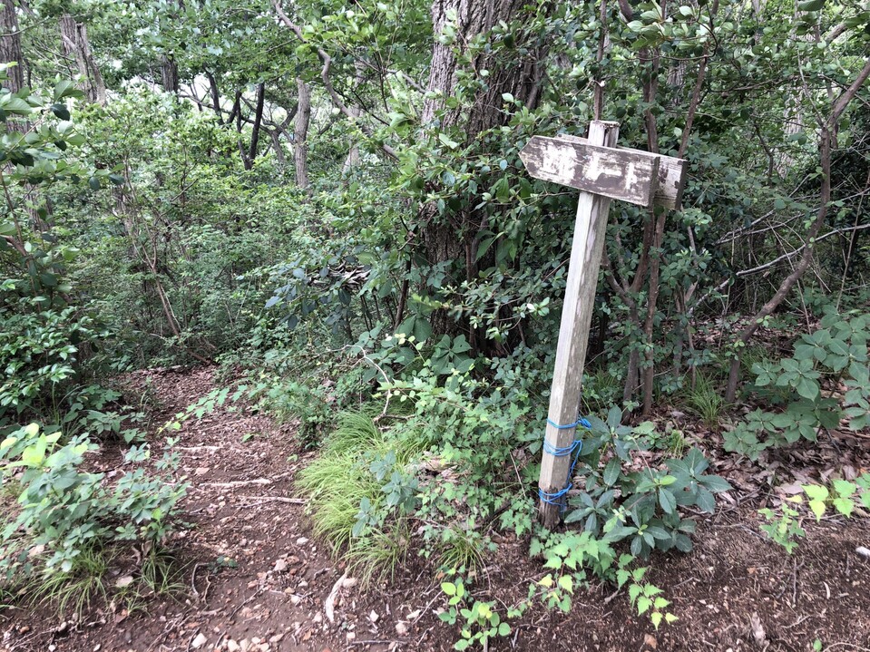 ぶどうの前に岩舟駅から岩船山と馬不入山へ 栃木県 19 07 07 太平山 晃石山 唐沢山の写真65枚目 立花コースから行く 行かなーい 尾根歩 Yamap ヤマップ